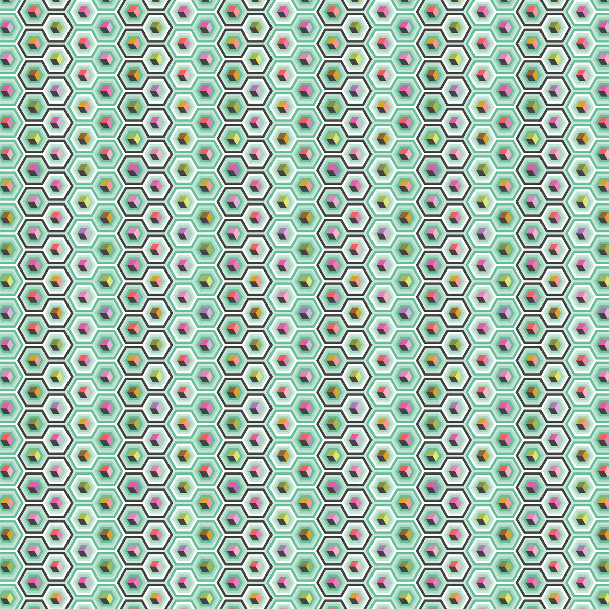 Hex Box - Prince Charming Déjà Vu by Tula Pink (Preorder)