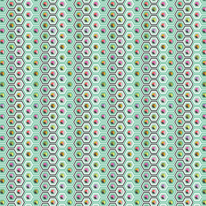 Hex Box - Prince Charming Déjà Vu by Tula Pink (Preorder)