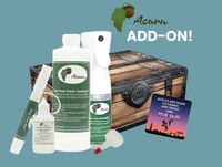 Second Star to the Right Digital Experience!